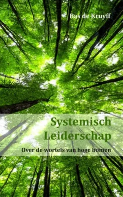 Systemisch leiderschap eBook