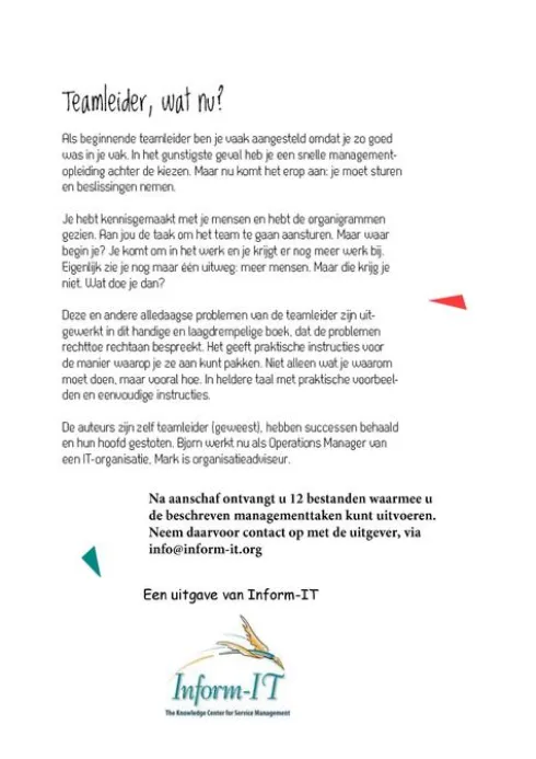Teamleider, wat nu? eBook