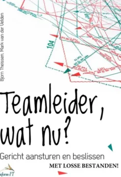 Teamleider, wat nu? eBook