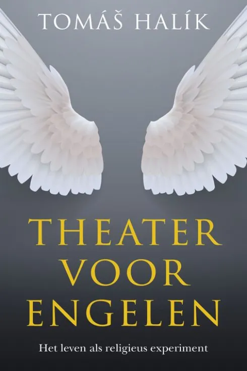 Theater voor engelen eBook