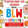 The Big BLW Cookbook eBook