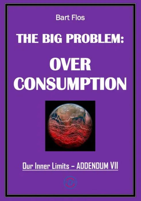 The Big Problem: Overconsumption eBook