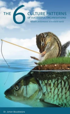 The 6 Culture Patterns of Successful Organisations eBook