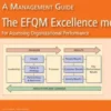 The EFQM excellence model for assessing organizational performance eBook