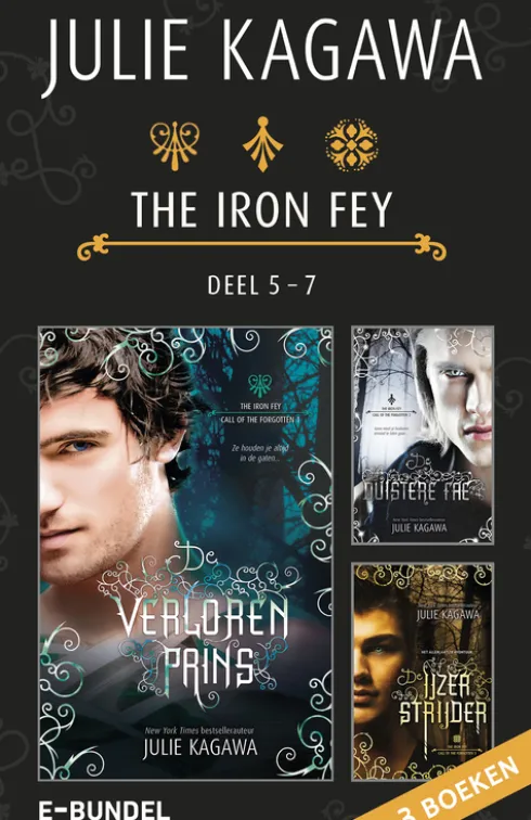 The Iron Fey 5 - 7 - De verloren prins - De duistere fae - De IJzerstrijder eBook