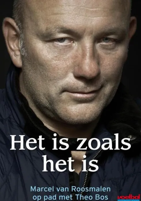 Theo Bos - Het is zoals het is eBook