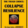The Tough Choice: Collapse Resilience eBook