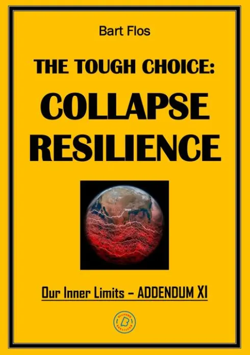 The Tough Choice: Collapse Resilience eBook