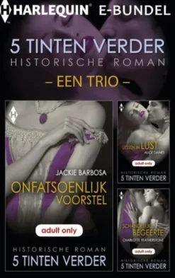 5 Tinten Verder historische roman e-bundel - een trio eBook
