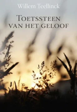 Toetssteen van het geloof eBook