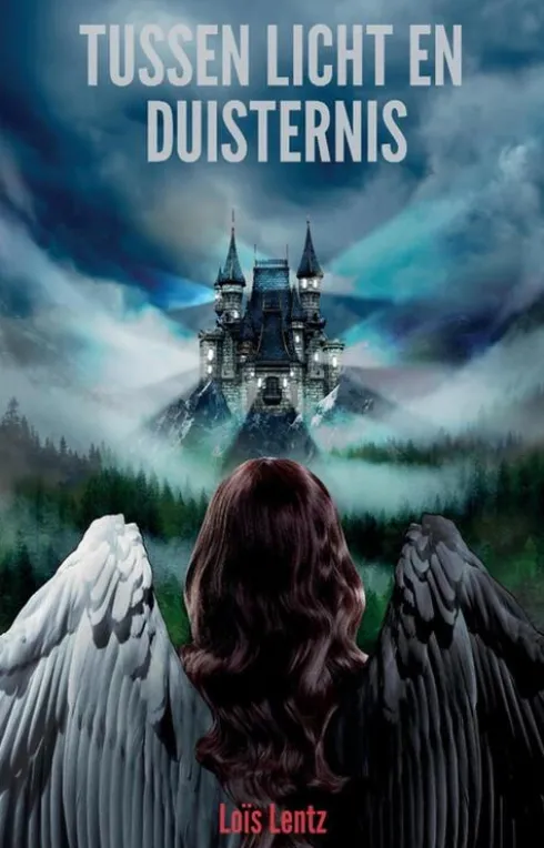 Tussen licht en duisternis eBook