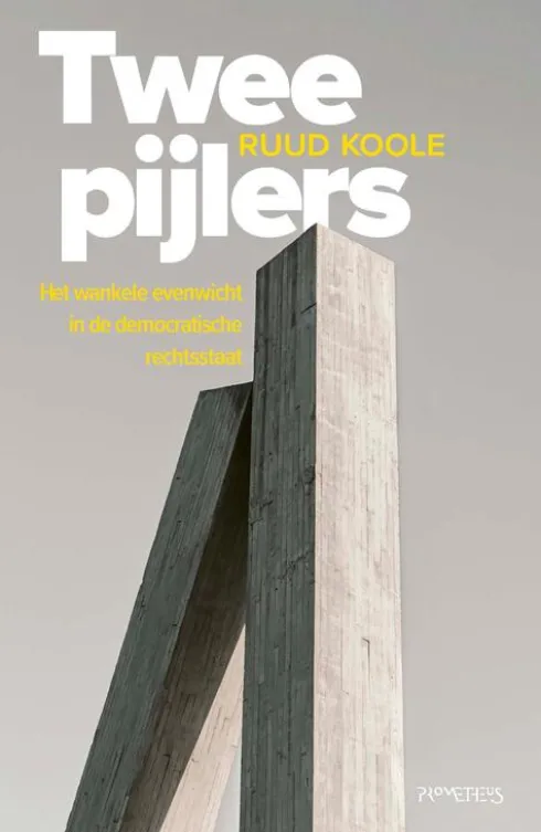 Twee pijlers eBook