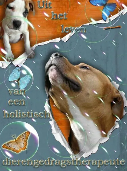 Uit het leven van een holistisch dierengedragstherapeute eBook