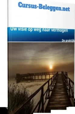 Uw visie op weg naar vermogen eBook
