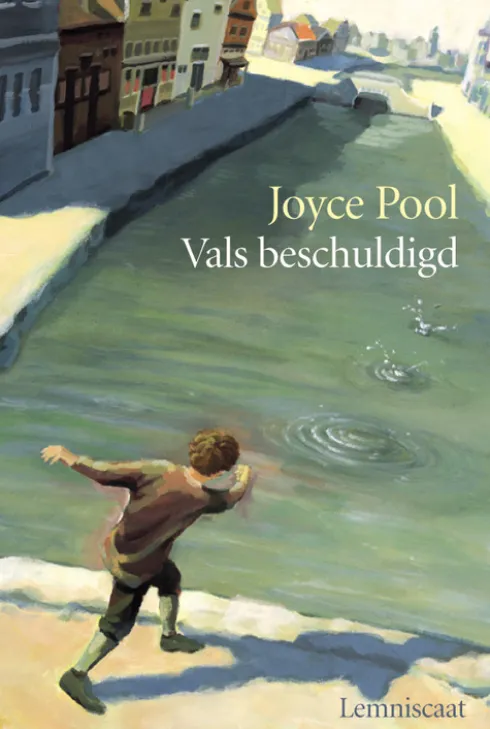 Vals beschuldigd eBook