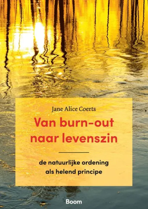 Van burn-out naar levenszin eBook