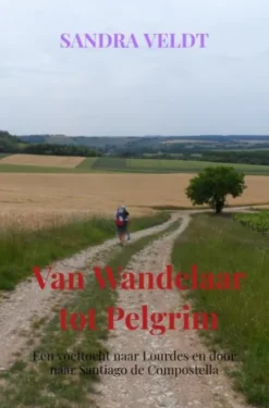 Van Wandelaar tot Pelgrim eBook