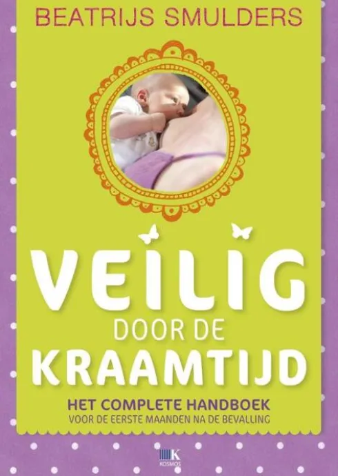 Veilig door de kraamtijd en de eerste maanden na de bevalling eBook