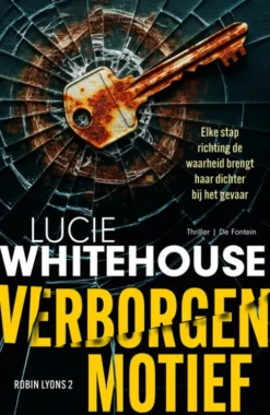 Verborgen motief eBook