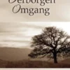 Verborgen omgang eBook