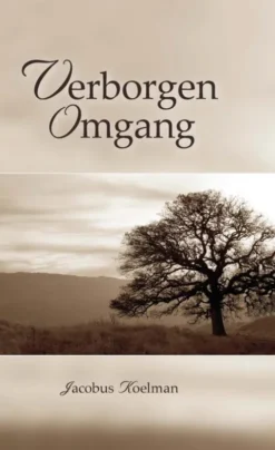 Verborgen omgang eBook