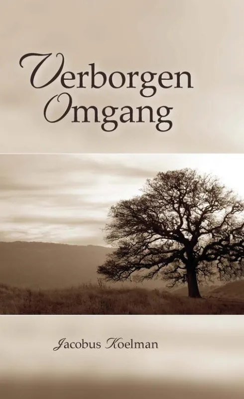 Verborgen omgang eBook