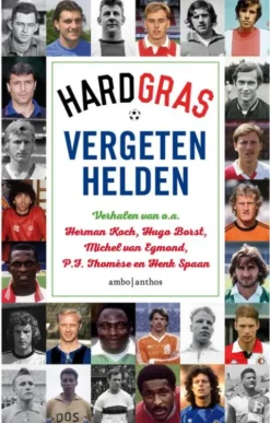 Vergeten helden eBook