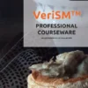 VeriSM™ Professional Courseware eBook