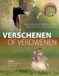 Verschenen of verdwenen eBook