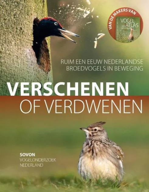 Verschenen of verdwenen eBook