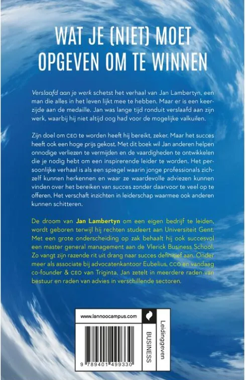 Verslaafd aan je werk eBook