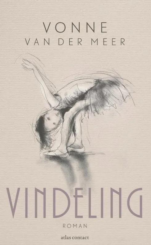 Vindeling eBook