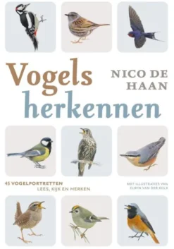 Vogels herkennen eBook