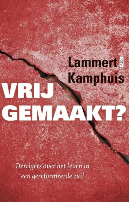 Vrijgemaakt? eBook