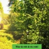Waar de rook de zon raakt eBook
