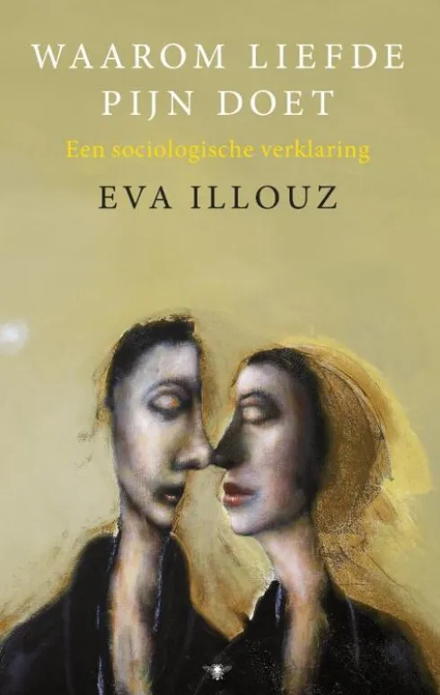Waarom liefde pijn doet eBook