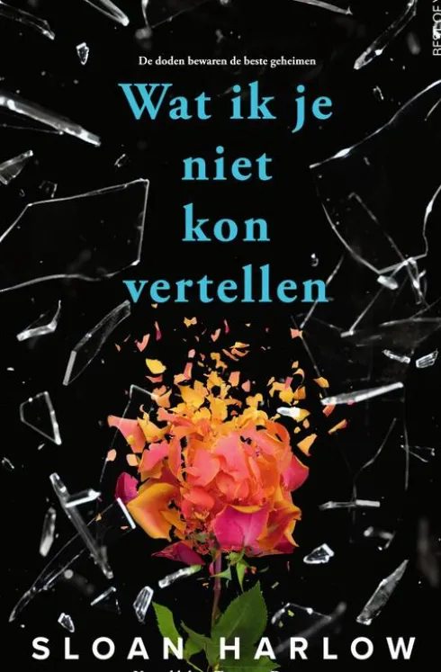 Wat ik je niet kon vertellen eBook