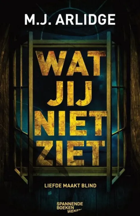 Wat jij niet ziet eBook