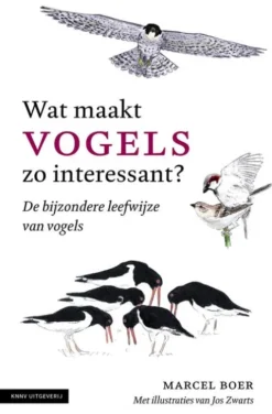 Wat maakt vogels zo interessant eBook