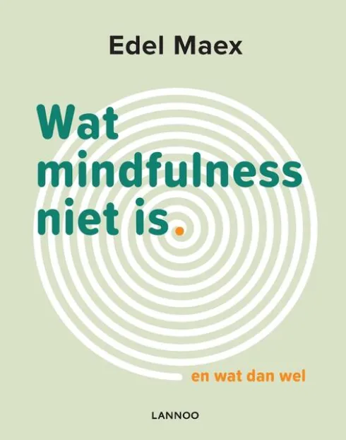 Wat mindfulness niet is eBook