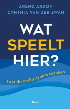 Wat speelt hier? eBook