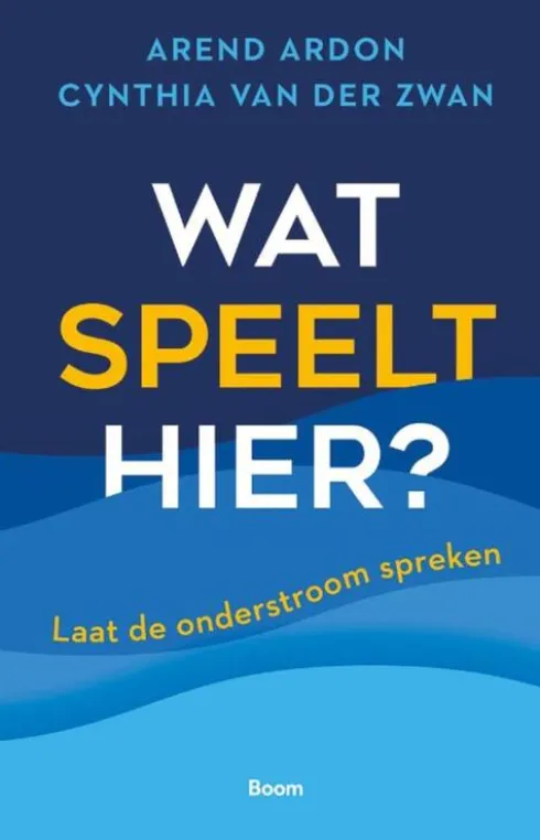 Wat speelt hier? eBook