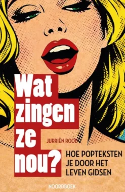 Wat zingen ze nou? eBook
