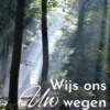 Wijs ons Uw wegen eBook