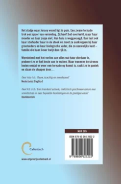 Wild storm eBook