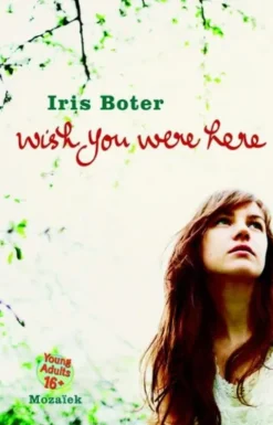 Wish you were here eBook