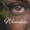 Wüstenfalke eBook