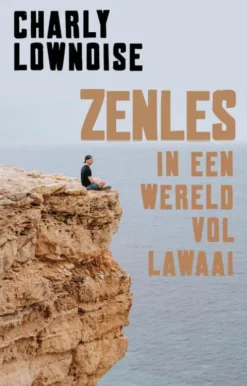 Zenles in een wereld vol lawaai eBook