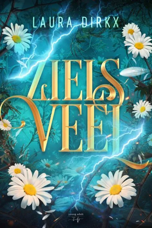 Zielsveel eBook