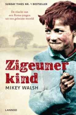 Zigeunerkind eBook